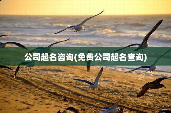 公司起名咨询(免费公司起名查询)