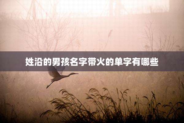 姓沿的男孩名字带火的单字有哪些