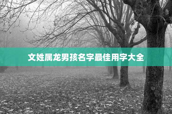 文姓属龙男孩名字最佳用字大全