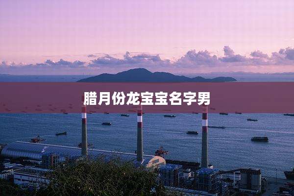 腊月份龙宝宝名字男