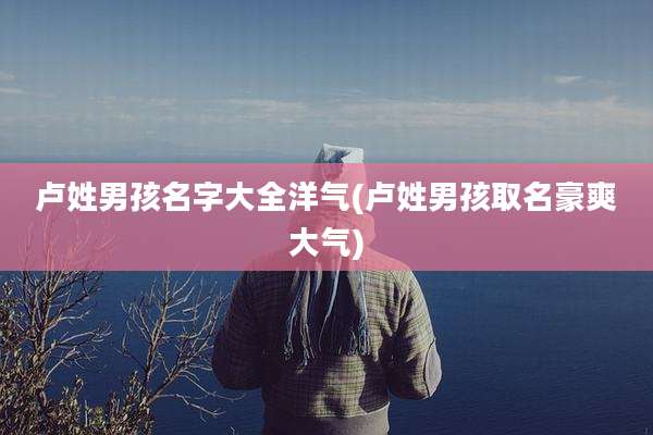 卢姓男孩名字大全洋气(卢姓男孩取名豪爽大气)