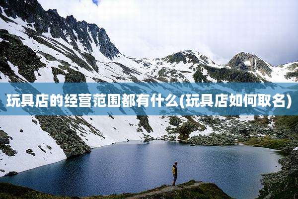玩具店的经营范围都有什么(玩具店如何取名)