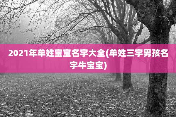 2021年牟姓宝宝名字大全(牟姓三字男孩名字牛宝宝)