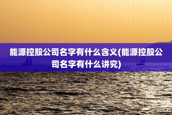 能源控股公司名字有什么含义(能源控股公司名字有什么讲究)