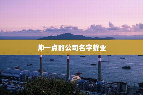 帅一点的公司名字蜂业