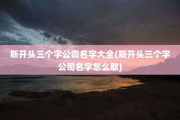 斯开头三个字公司名字大全(斯开头三个字公司名字怎么取)