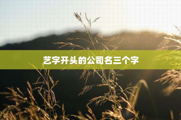 艺字开头的公司名三个字