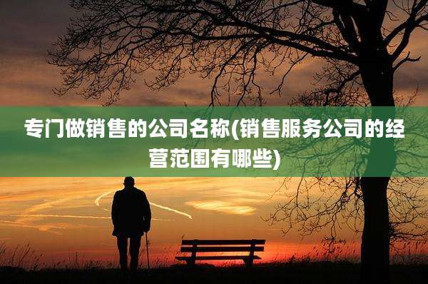 专门做销售的公司名称(销售服务公司的经营范围有哪些)