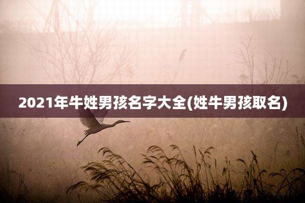 2021年牛姓男孩名字大全(姓牛男孩取名)