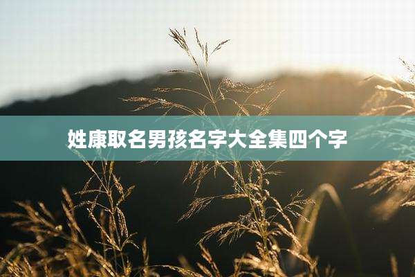 姓康取名男孩名字大全集四个字