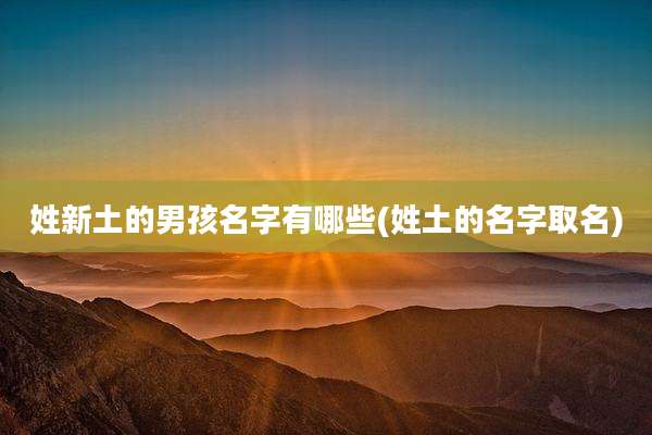 姓新土的男孩名字有哪些(姓土的名字取名)
