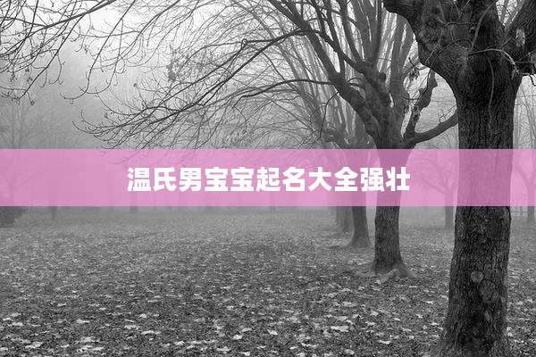 温氏男宝宝起名大全强壮