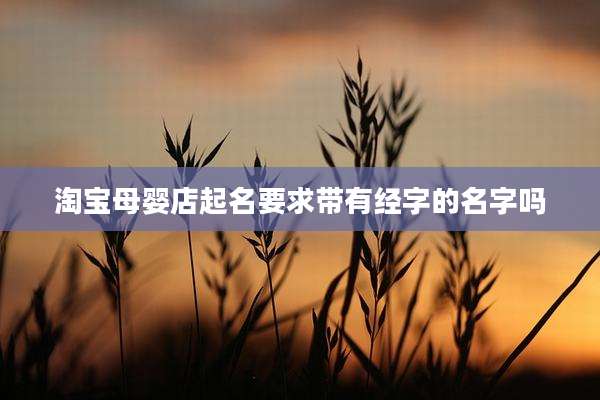 淘宝母婴店起名要求带有经字的名字吗