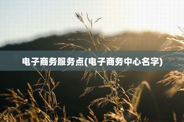 电子商务服务点(电子商务中心名字)