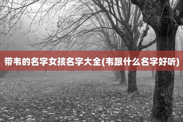 带韦的名字女孩名字大全(韦跟什么名字好听)