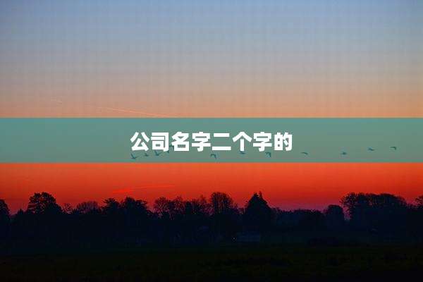公司名字二个字的