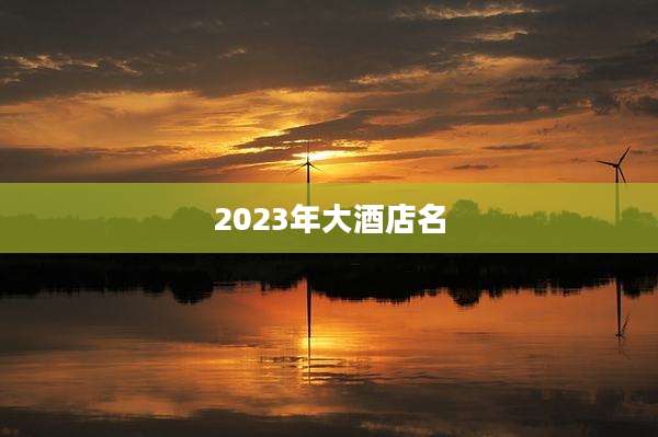 2023年大酒店名