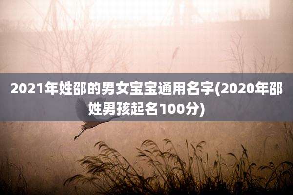 2021年姓邵的男女宝宝通用名字(2020年邵姓男孩起名100分)