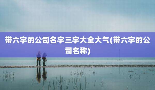 带六字的公司名字三字大全大气(带六字的公司名称)