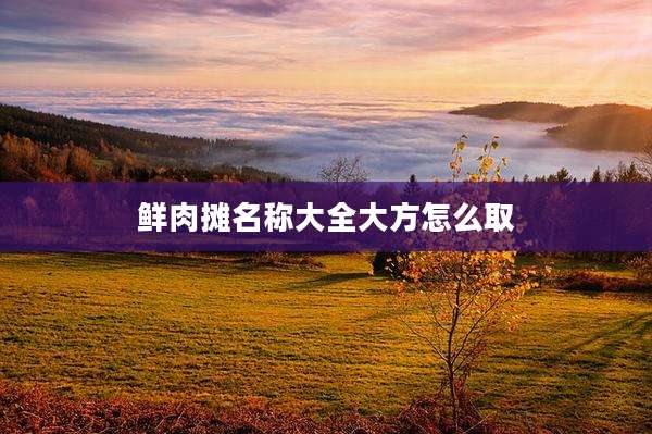 鲜肉摊名称大全大方怎么取
