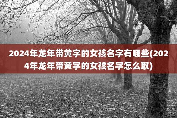 2024年龙年带黄字的女孩名字有哪些(2024年龙年带黄字的女孩名字怎么取)