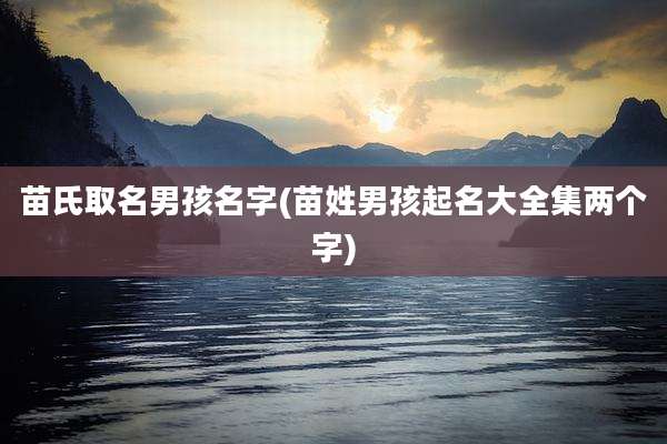 苗氏取名男孩名字(苗姓男孩起名大全集两个字)
