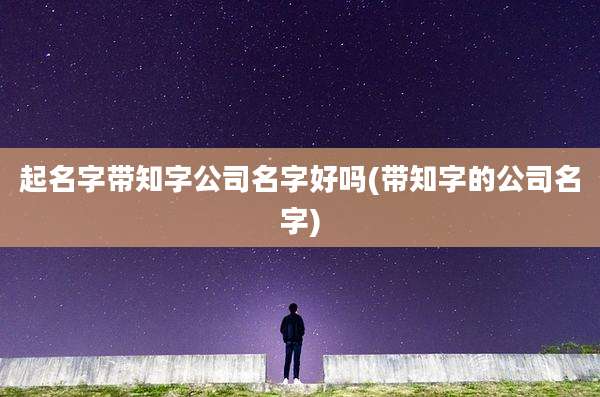 起名字带知字公司名字好吗(带知字的公司名字)
