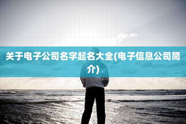 关于电子公司名字起名大全(电子信息公司简介)