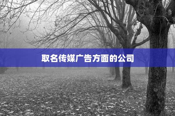 取名传媒广告方面的公司