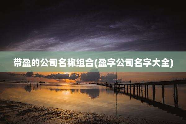 带盈的公司名称组合(盈字公司名字大全)