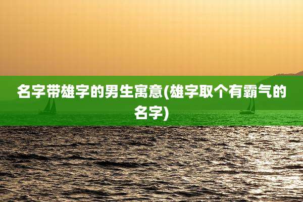 名字带雄字的男生寓意(雄字取个有霸气的名字)