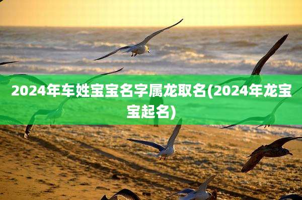 2024年车姓宝宝名字属龙取名(2024年龙宝宝起名)