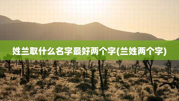 姓兰取什么名字最好两个字(兰姓两个字)