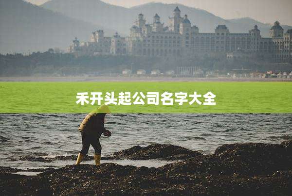 禾开头起公司名字大全