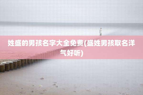 姓盛的男孩名字大全免费(盛姓男孩取名洋气好听)