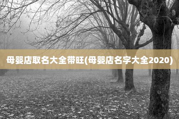 母婴店取名大全带旺(母婴店名字大全2020)