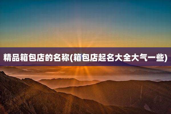 精品箱包店的名称(箱包店起名大全大气一些)