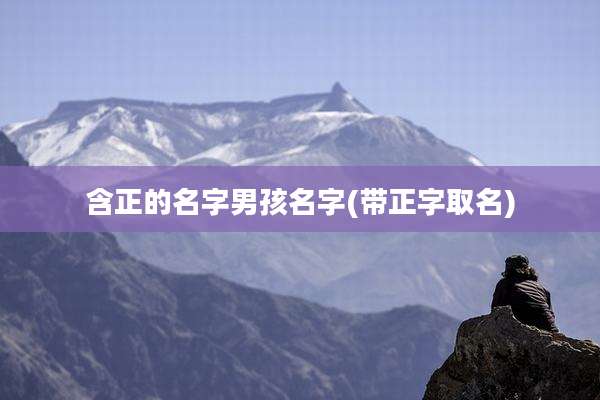 含正的名字男孩名字(带正字取名)