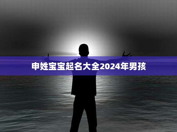 申姓宝宝起名大全2024年男孩