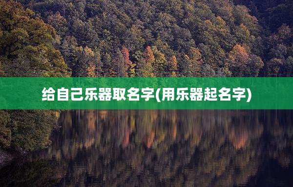 给自己乐器取名字(用乐器起名字)