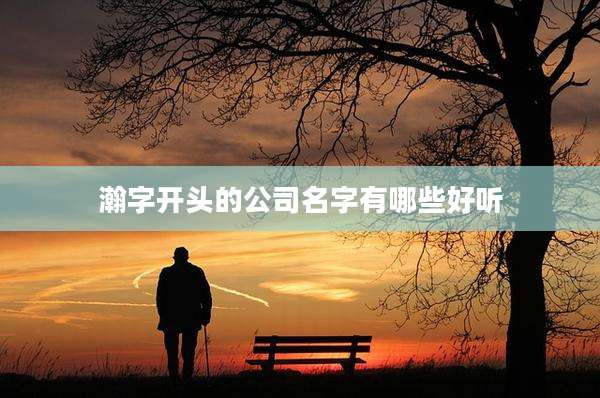瀚字开头的公司名字有哪些好听