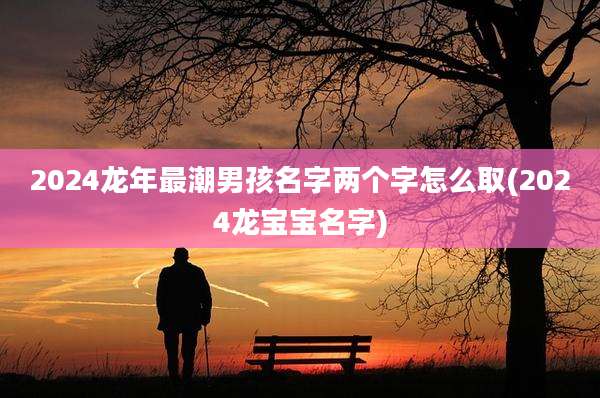 2024龙年最潮男孩名字两个字怎么取(2024龙宝宝名字)