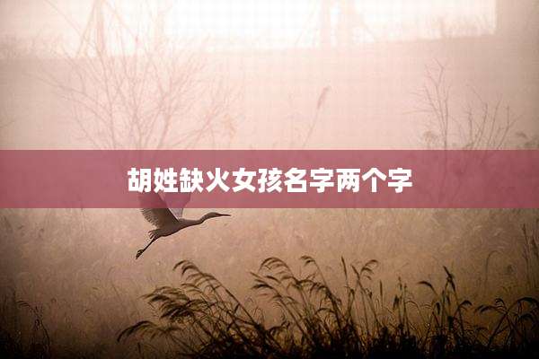 胡姓缺火女孩名字两个字