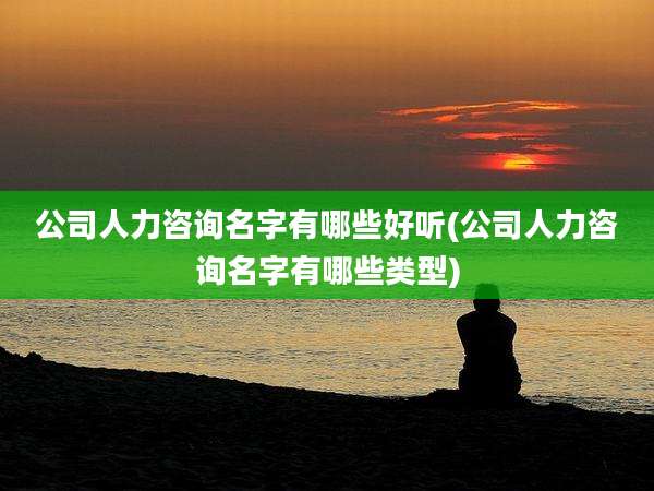 公司人力咨询名字有哪些好听(公司人力咨询名字有哪些类型)
