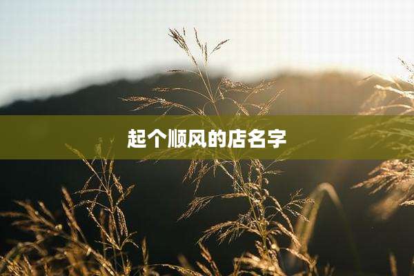 起个顺风的店名字