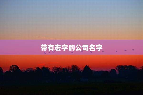 带有宏字的公司名字