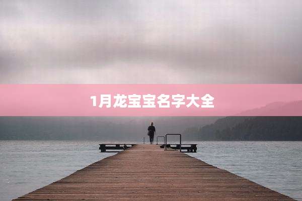1月龙宝宝名字大全