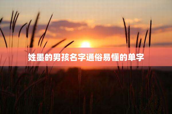 姓墨的男孩名字通俗易懂的单字
