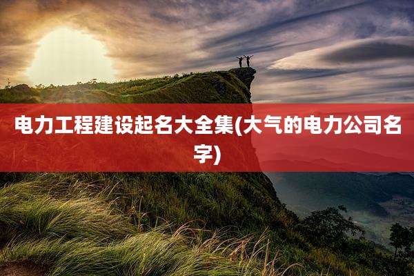 电力工程建设起名大全集(大气的电力公司名字)