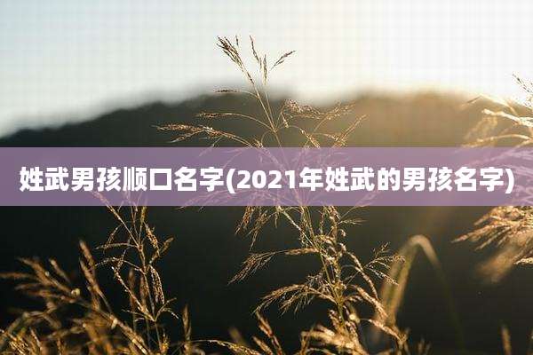 姓武男孩顺口名字(2021年姓武的男孩名字)